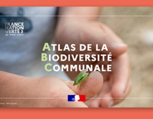 Questions / réponses autour du programme « Atlas de la biodiversité communale » | OFB