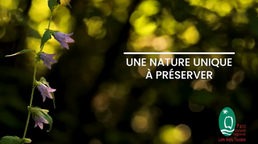 11 vidéos sur les espaces naturels sensibles du Parc naturel régional Loire Anjou Touraine