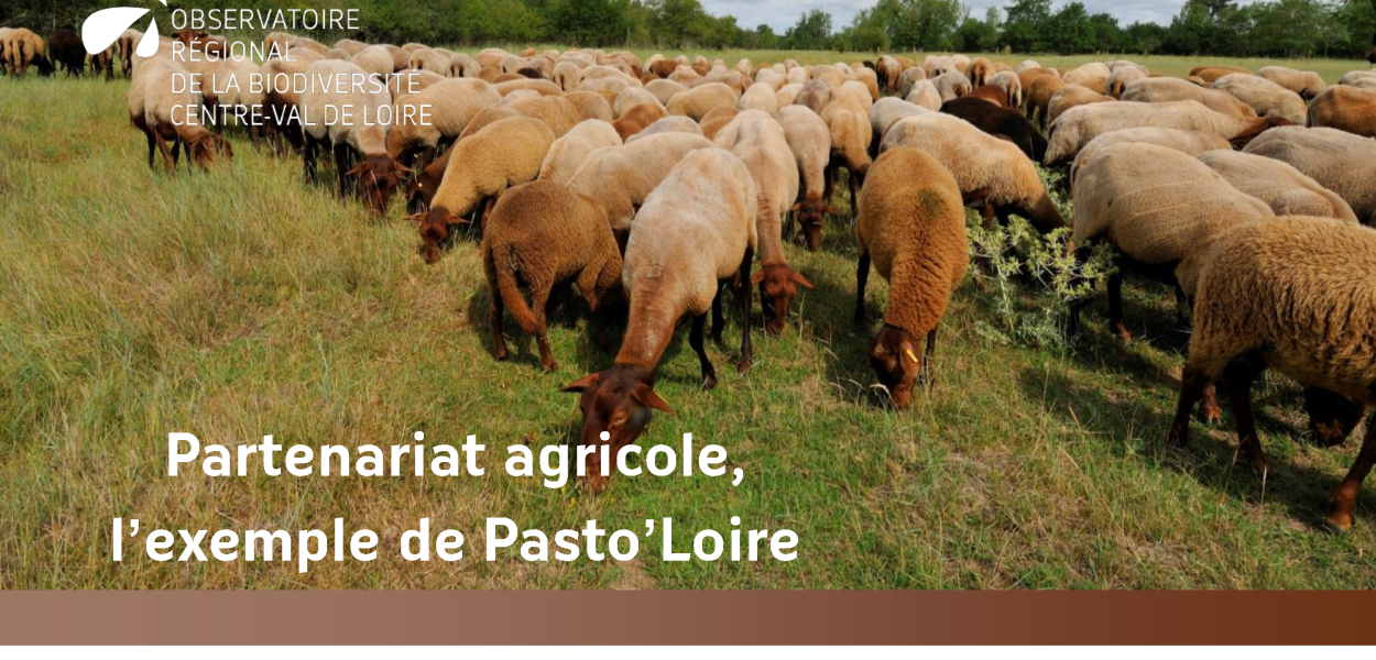 Présentation de Pasto'Loire