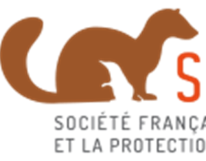Société Française pour l'Étude et la Protection des Mammifères (SFEPM)