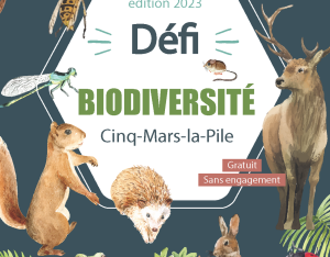 Défi citoyen pour la biodiversité à Cinq-Mars-la-Pile (37) - Journée d'inventaires naturalistes