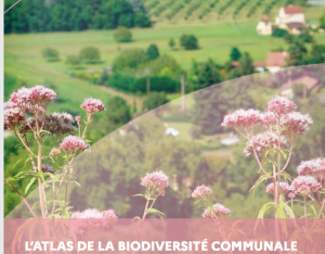 « Atlas de la biodiversité communale » et retour d’expérience de Saint-Anne