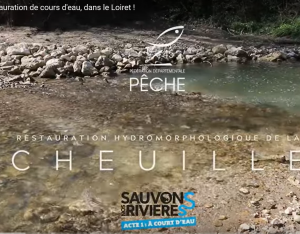 Restauration de la Cheuille | Fédération du Loiret pour la pêche et la protection du milieu aquatique