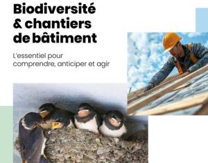 Biodiversité et chantiers de bâtiment : l'essentiel pour comprendre, anticiper et agir | Fédération française du bâtiment