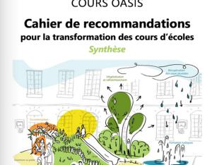Cahier de recommandations pour la transformation des cours d'écoles | CAUE 75 - Cours oasis