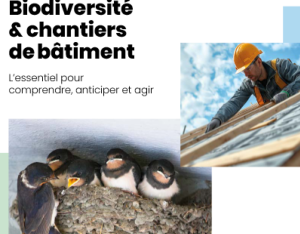 Biodiversité & chantiers de bâtiments | Fédération Française du Bâtiment