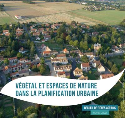 Etude PLAN : comment mieux intégrer le végétal et la biodiversité dans la planification urbaine ?