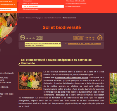Dossier Sol et biodiversité | CNRS