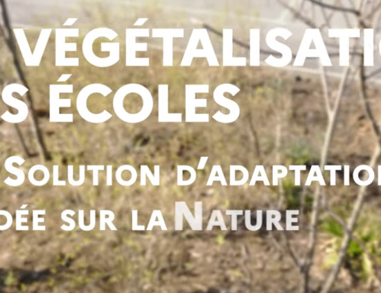 La végétalisation des écoles, une Solution d'adaptation fondée sur la Nature | OFB