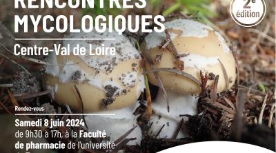 Rencontres mycologiques du Centre-Val de Loire