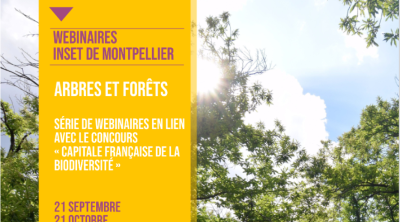 webi#1 - Arbres forêts et biodiversité : enjeux et défis pour les collectivités 