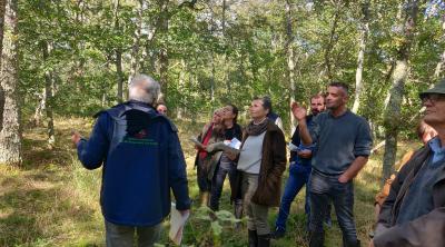 Diagnostiquer la biodiversité dans sa forêt - CNPF IFC