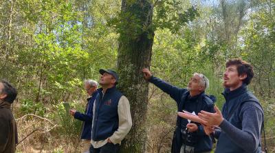 Réunion forestière : Diagnostiquer la biodiversité dans sa forêt et préserver le milieu naturel