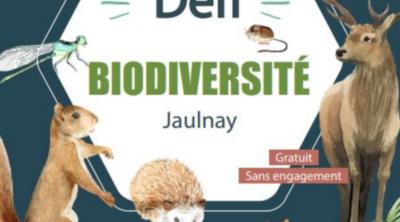 Défi citoyen pour la biodiversité à Jaulnay (37) - Inventaires naturalistes