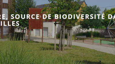 La nature, source de biodiversité dans les petites villes | CEREMA - ANCT