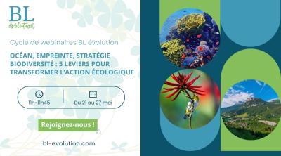 Webinaire : Comment mettre en place une stratégie biodiversité ? | BL EVOLUTION