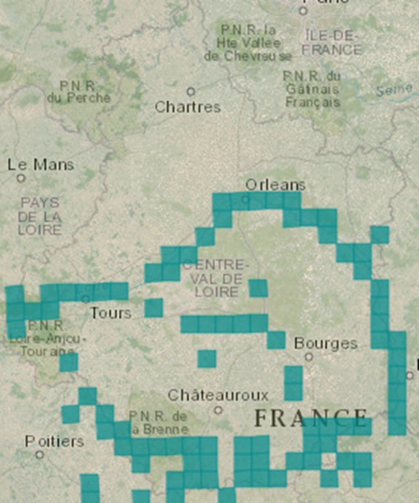 Extrait de cartographie de la présence française de l'Hoplie bleue © INPN