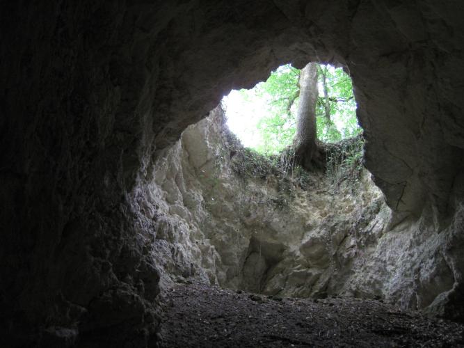 Réseau de carrière de la Blardière-Rigny-Ussé ©S. Gressette, Cen Centre-Val de Loire