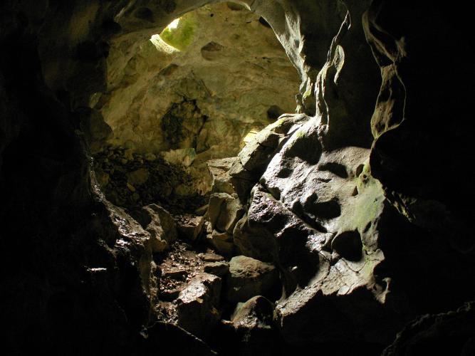 Grotte du Puits, Bois des roches ©S. Gressette, Cen Centre-Val de Loire