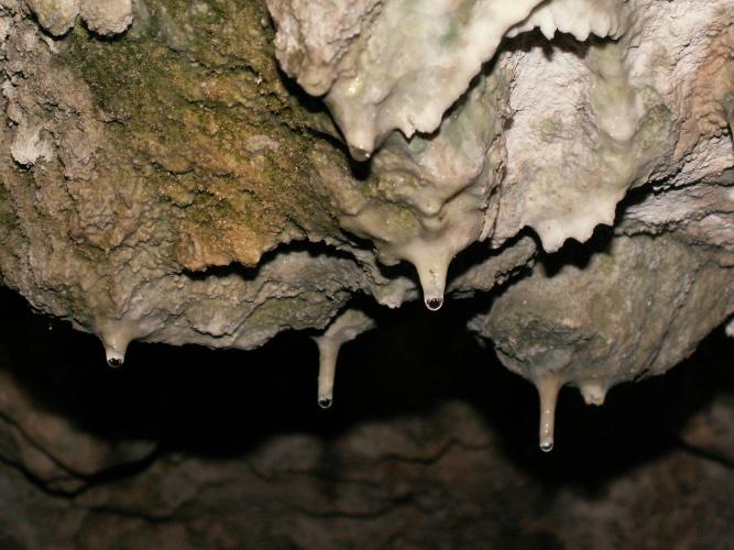 Stalagtite, Bois des roches ©S. Gressette, Cen Centre-Val de Loire