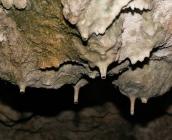 Stalagtite, Bois des roches ©S. Gressette, Cen Centre-Val de Loire