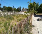Noue végétalisée dans la cour de l'école élémentaire du Poutyl à Olivet (45) © ARB-CVL